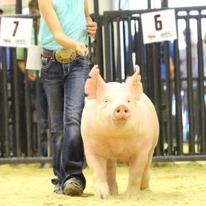 Meet your Posher, Jenny